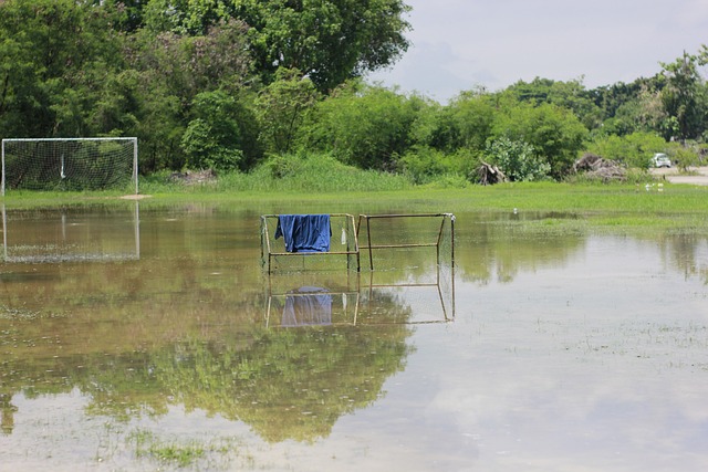 快船击败篮网，4大利好和1大问题，球队冲击西部前四.